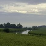 Kommerzijlsterriet bij Electra