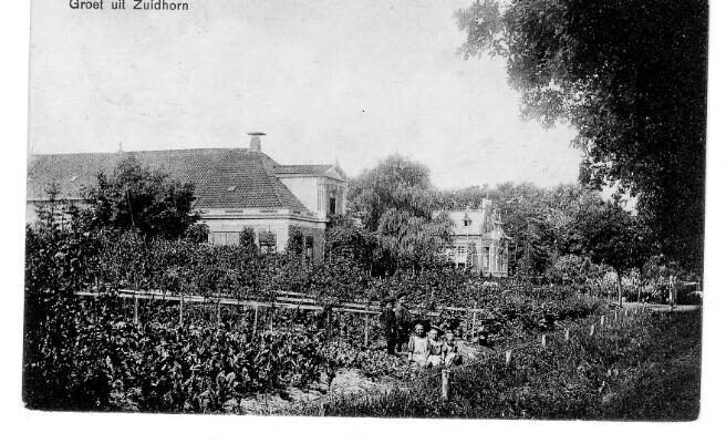 Kwekerij Weitering aan de Gast 1914