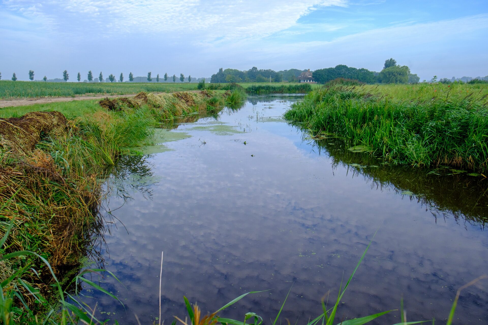 Lezing over De Oude Riet door Nynke van de Laan